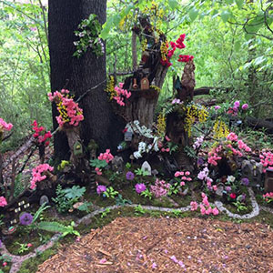 Mission Oaks Fairy Garden Update 1