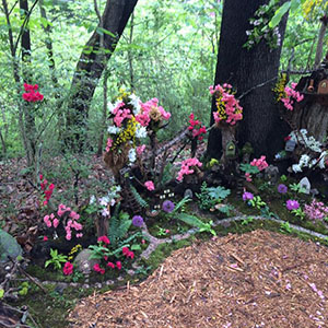 Mission Oaks Fairy Garden Update 2