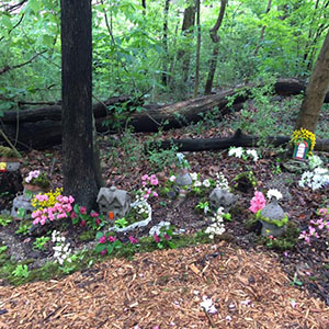 Mission Oaks Fairy Garden Update 4