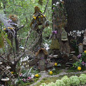 Mission Oaks Gardens Fairy Garden 1